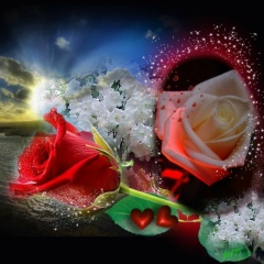 Walid Algerie, 07.04.1987, Alger