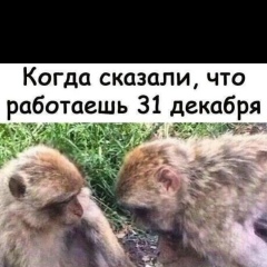 Manas Karashov, Красноярск