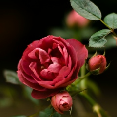 Оксана Вальчук, 13.02, Москва