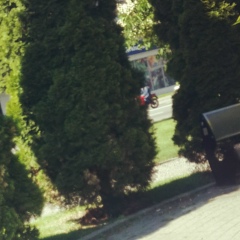 Миша Мирошник, 05.05.1990