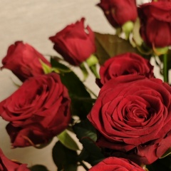 Екатерина Енаева, 03.04, Санкт-Петербург