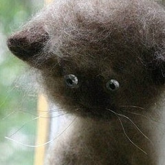 Юлия Иванова, Санкт-Петербург