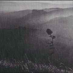 Safa Safa, Грозный