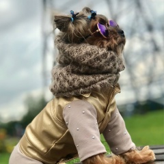 Марта Джикия, 04.04, Москва