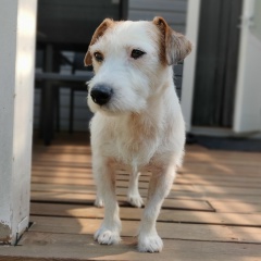 Динара Арифулова, 23.06.1987, Joensuu