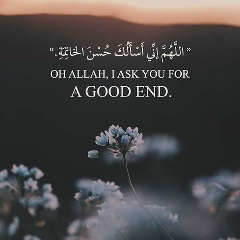 Айзирек Осмонова, 01.01.1998