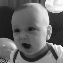 Дмитрий Широченко, 29.08.1983, Санкт-Петербург