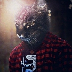 Илья Лукин, 06.07.1998, Чудово