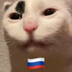 Александр Рысь, Москва