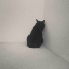 Михаил Васильев, 16.01.1986, Чебоксары