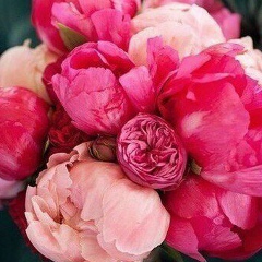 Арина Копыцына, 22.07, Санкт-Петербург