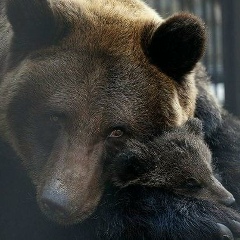 Максим Александрович, 27.01, Санкт-Петербург