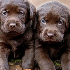 Татьяна Кузовкова, 19.07.1982, Москва