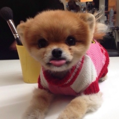 Джени Джен, 30.12.1986, Москва