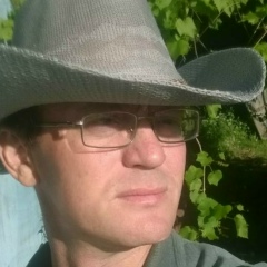 Николай Паськов, Воронеж