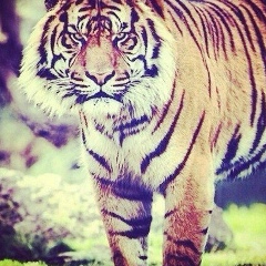 Эльдар Асланұлы, 26.08.1999, Атырау