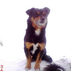 Виктор Андыкулов, 19.03.1988, Актобе