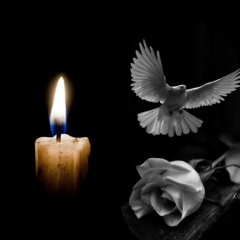 Виктория , Пестово