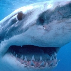 Ваня Яблоков, 29.04.1988, Шатура