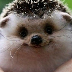 Рома Паламарчук, 08.08, Shanghai