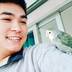 Гани Жунис, 15.12.1988, Marbella