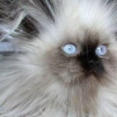 Оксана Васильева, 27.05.1980, Санкт-Петербург