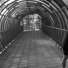 Сергей Кольцов