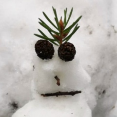 Виктор Думов, 14.07.1985, Санкт-Петербург