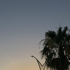 Анна Деведжи, 14.02.1989