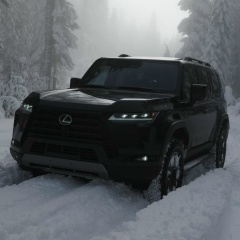 Ноорузбек Таштемиров, 21.03, Бишкек