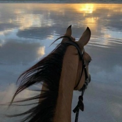 Bakdaulet Abek, 23.02, Houston