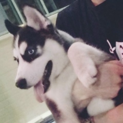 Бауржан Жансеитов, 18.06