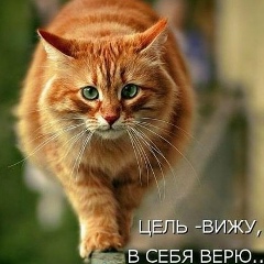 Елена Басараб, 05.02, Краматорск