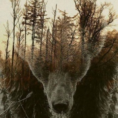 Григорий Ханьжин, 11.11.1987, Пермь