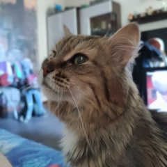 Макс Кузнецов, 29.07.1988, Астрахань