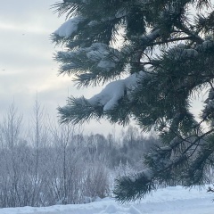 Светлана Дмитриева, 18.09, Старая Русса