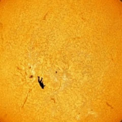 Владимир Бурдыга, 15.07.1977, Новосибирск