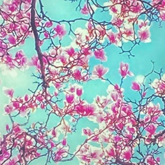 Наталья Хайгора, Санкт-Петербург