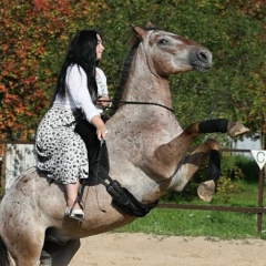 Алина Жукова, Коломна