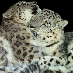 Мария Бондаренко, 17.06.1992, Москва