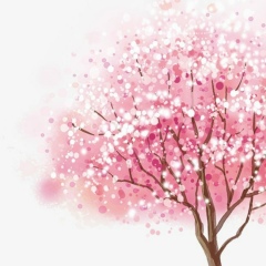 Афродита Лазару, 04.03.1987, Ташкент