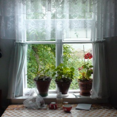 Нат Нат, 17.06, Москва