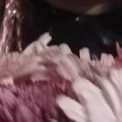 Виктория Ковалёва, 27.10, Волжский