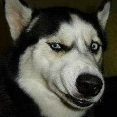 Алексей Семченко, 29.07, Хабаровск