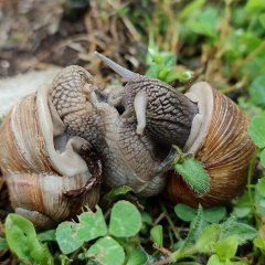 Alessio Stecca, 20.08.1975