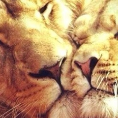 Лиана Бухурова, 12.12, Нальчик