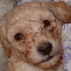 Иван Юдин, 02.03