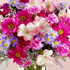 Ирина Гусейнова, Махачкала