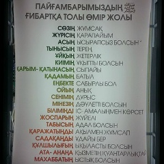 Дияра Алиева, 15.12.1995, Туркестан