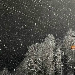 Аделина Тополева, Санкт-Петербург